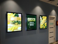 изображение категории