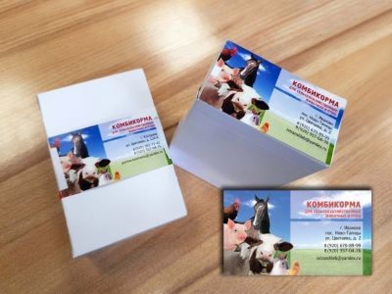 Личное: Яркие и качественные визитки для магазина Purina